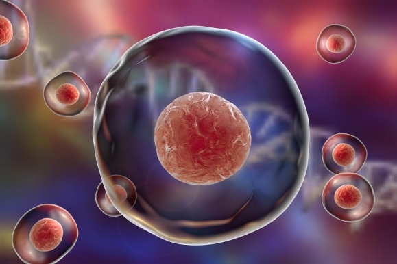 Human or animal cells on a background with DNA (Forrás: 123rf.com)