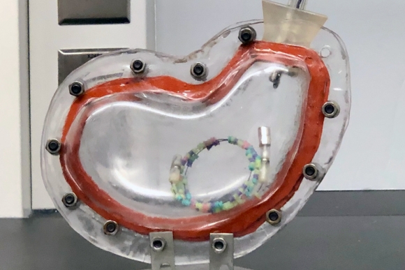 A gyomorsavnak ellenálló eszköz (gastric resident system - GRS) prototípusa gyomormodellben (Forrás: Massachusetts Institute of Technology)